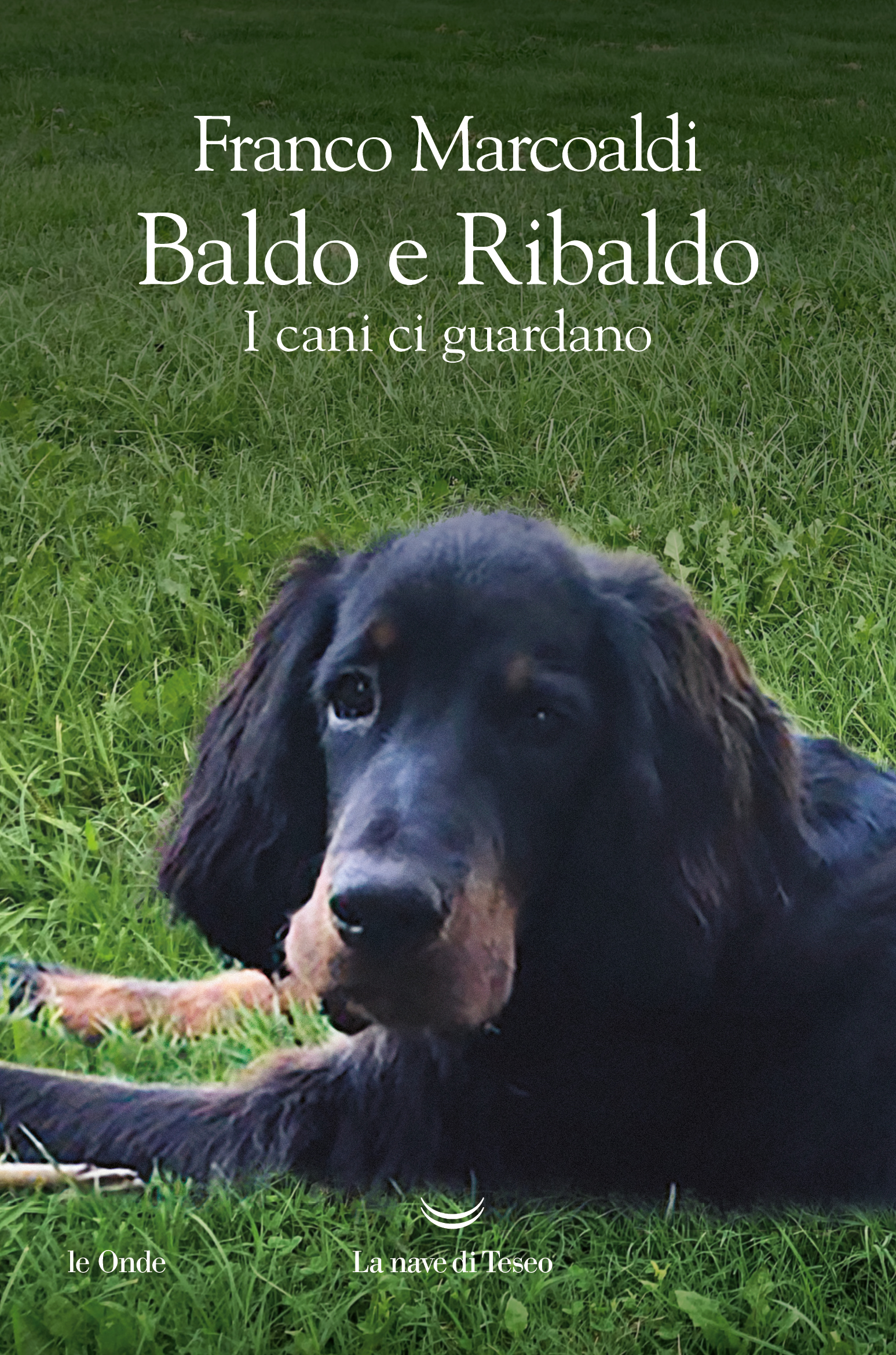 Marcoladi_Baldo-e-Ribaldo